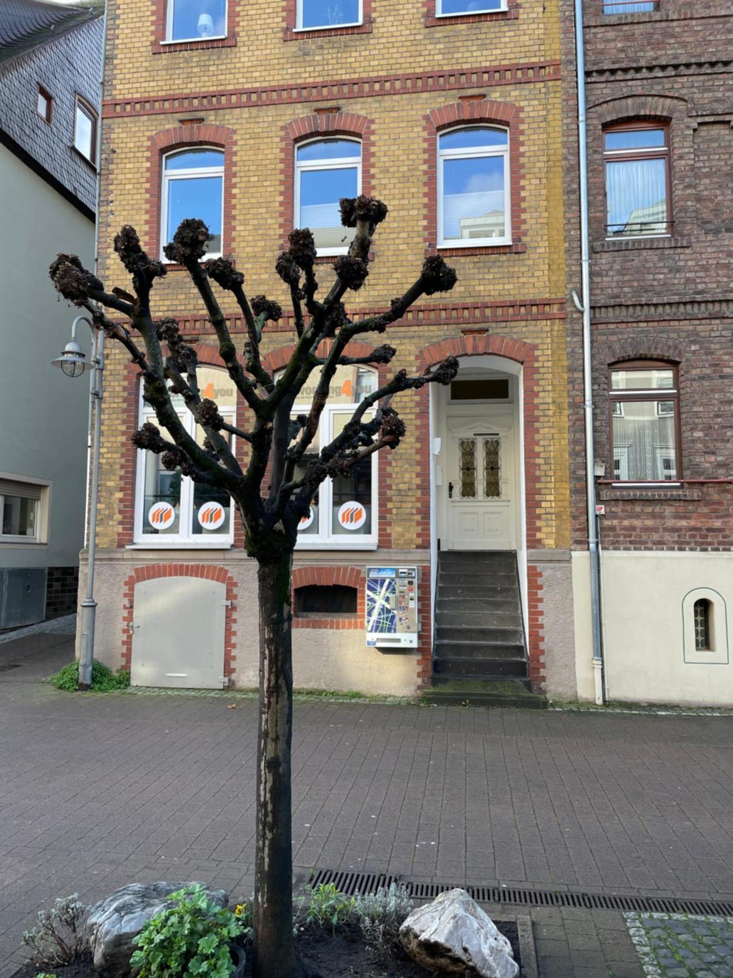Apartament Good Times In St. Goar Sankt Goar Zewnętrze zdjęcie